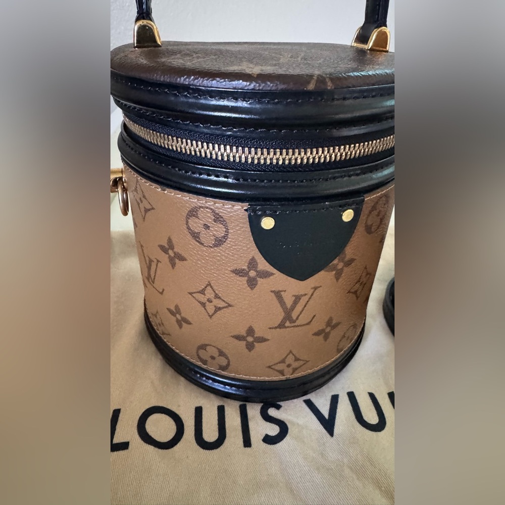 Authentic Louis Vuitton Cannes Monogram Reverse Canvas Bag - Picture 4 of 16